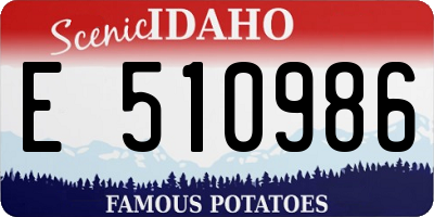 ID license plate E510986