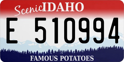 ID license plate E510994