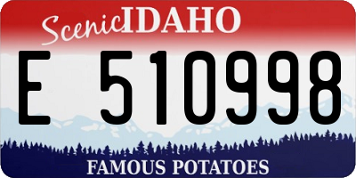 ID license plate E510998