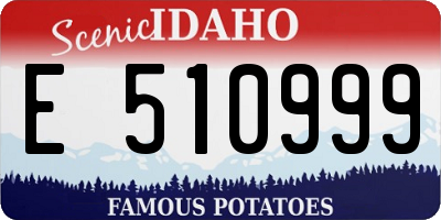 ID license plate E510999