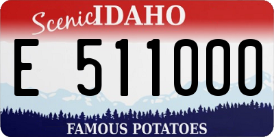 ID license plate E511000