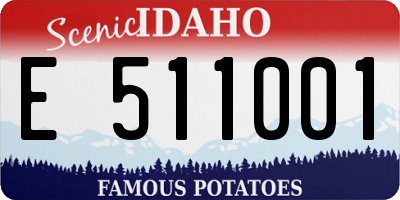 ID license plate E511001