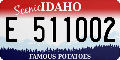 ID license plate E511002