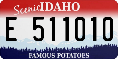 ID license plate E511010