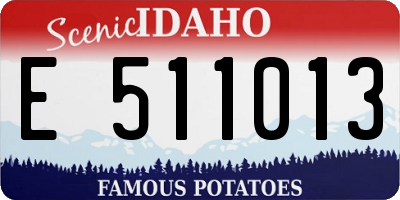 ID license plate E511013