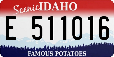 ID license plate E511016