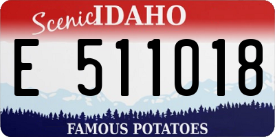 ID license plate E511018