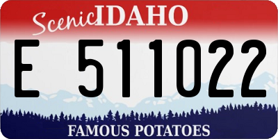 ID license plate E511022