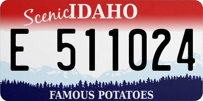 ID license plate E511024