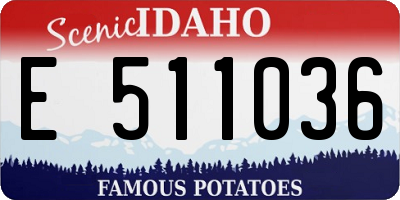 ID license plate E511036