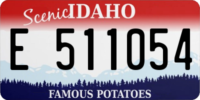ID license plate E511054