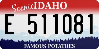 ID license plate E511081
