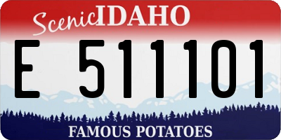 ID license plate E511101