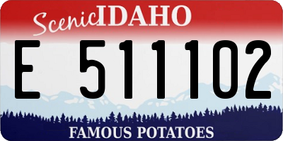 ID license plate E511102