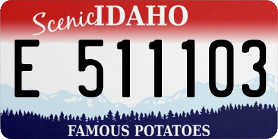 ID license plate E511103