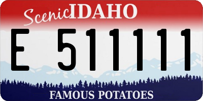 ID license plate E511111