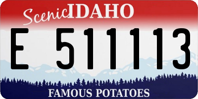 ID license plate E511113