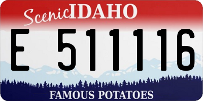 ID license plate E511116