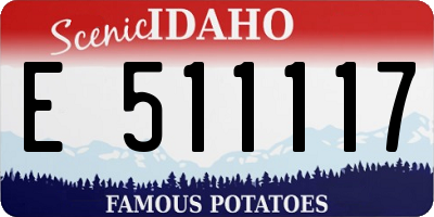 ID license plate E511117