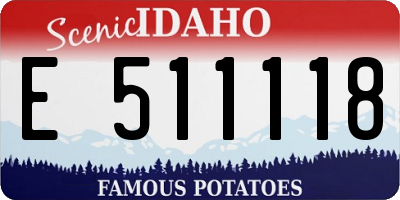 ID license plate E511118