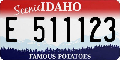 ID license plate E511123