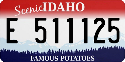 ID license plate E511125