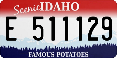ID license plate E511129