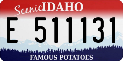 ID license plate E511131