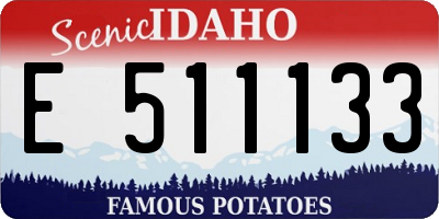 ID license plate E511133
