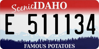 ID license plate E511134