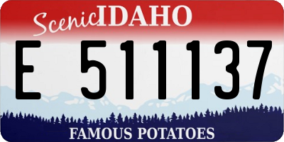 ID license plate E511137