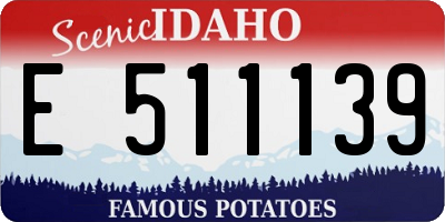 ID license plate E511139