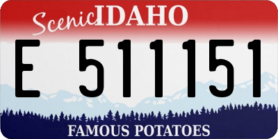 ID license plate E511151