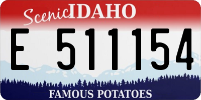 ID license plate E511154