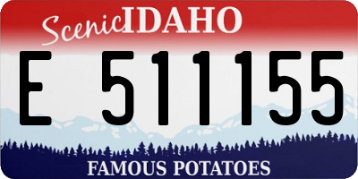 ID license plate E511155