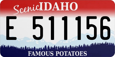 ID license plate E511156