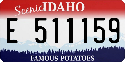 ID license plate E511159