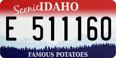 ID license plate E511160