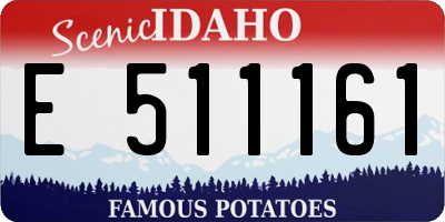 ID license plate E511161
