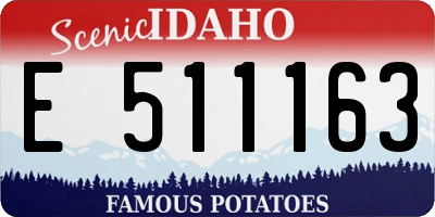 ID license plate E511163