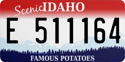 ID license plate E511164
