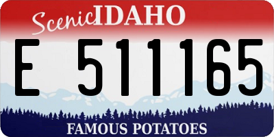 ID license plate E511165