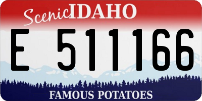 ID license plate E511166