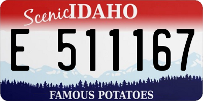 ID license plate E511167