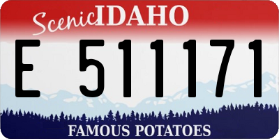 ID license plate E511171