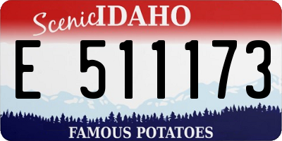 ID license plate E511173