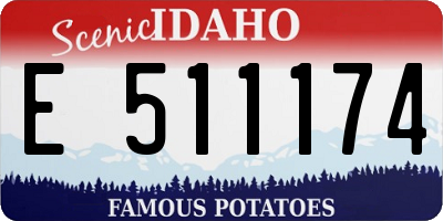 ID license plate E511174