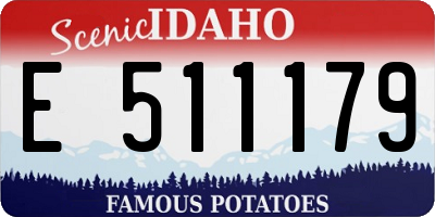 ID license plate E511179