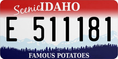 ID license plate E511181