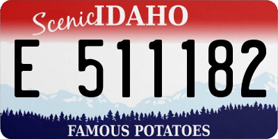 ID license plate E511182